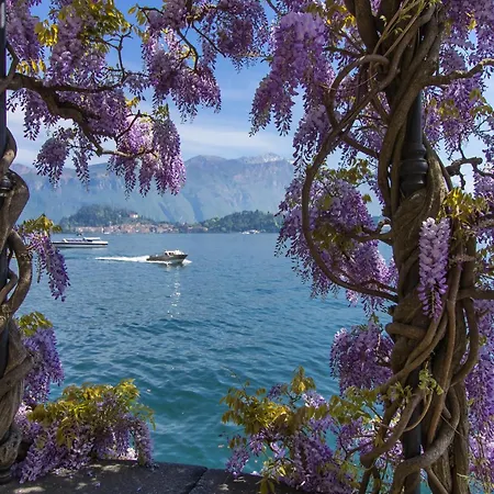 Belmonte Terrazzo 公寓 Pianello Del Lario